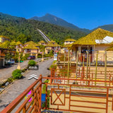 金平标水岩村