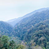 绿春黄连山风景区
