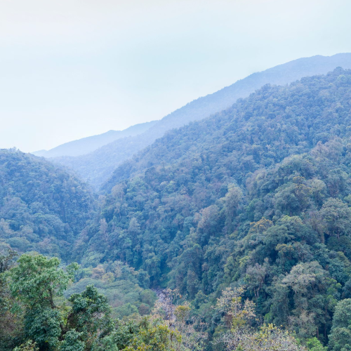 绿春黄连山风景区
