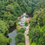 屏边大围山国家森林公园